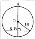 mc008-1.jpg