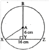 mc012-1.jpg